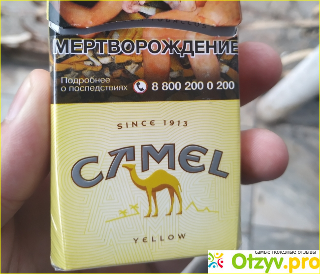 Camel какие вкусы. Пачка сигарет кэмел желтый. Кэмел Йеллоу сигареты. Camel сигареты желтые. Camel Compact Yellow сигареты.