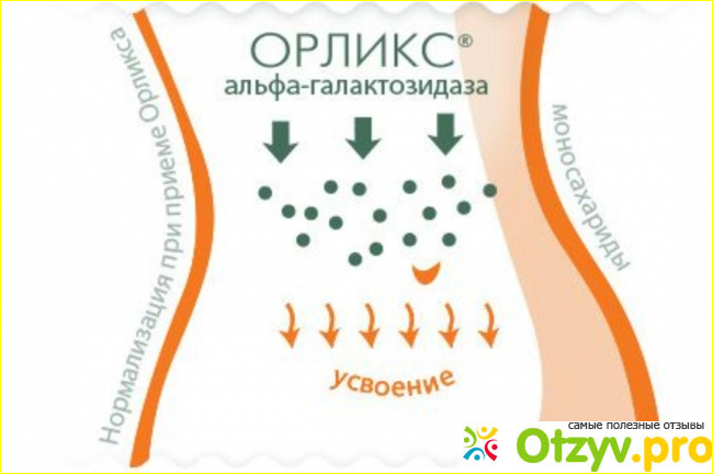 Орликс цена. Орликс. Орликс аналоги. Орликс Альфа-галактозидаза. Орликс лакто.