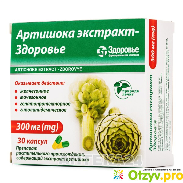 Артишок уколы. Гепакомб артишок 300. Артишок Эвалар. Экстракт артишока Натурмед. Артишок экстракт здоровье.