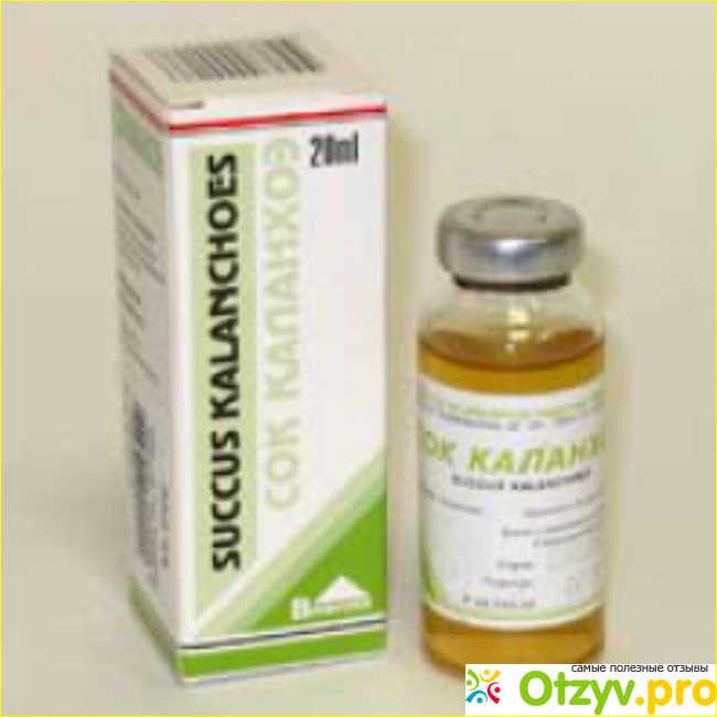 Сок каланхоэ. Каланхоэ сок 20мл. Каланхоэ сок фл. 20мл. Каланхоэ сок Вифитех. Препараты с соком каланхоэ.